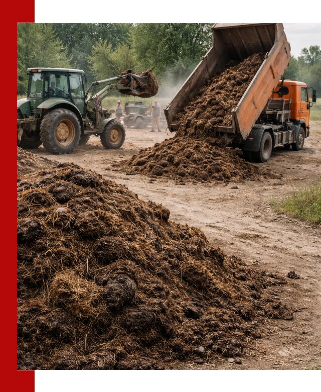 Доставка навоза самосвалами в Рязани для сельхозпотребностей
