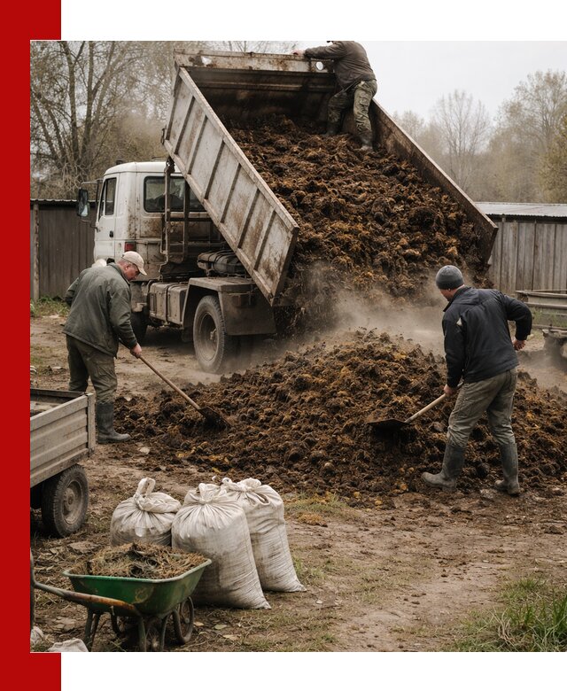 Доставка коровьего навоза самосвалом в Рязани